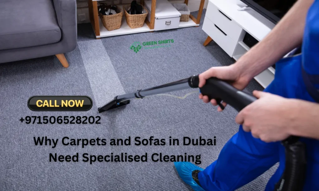 Carpets and Sofas in Dubai Need Specialised Cleaning